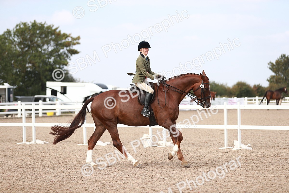 SBM_15556 - Class 213 Ridden Hunter -Large