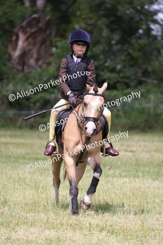 20260614-1910 - Class 21 - Novice Working Hunter Pony