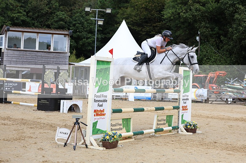 3E7A4495 - Class 8: Senior Foxhunter/1.20 open