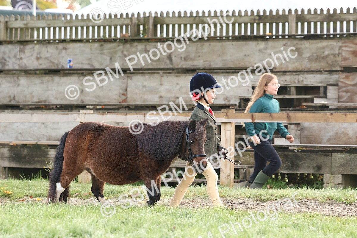 SBM_54477 - S38 - Starters Best Turnout