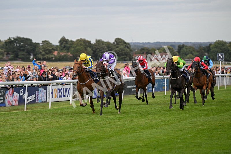 250824-Race 2-Ludos Landing-2931 - Race 2