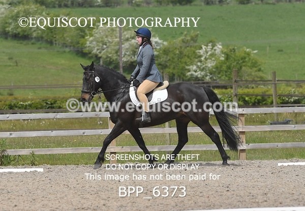 BPP_6373 - 36 H KING
