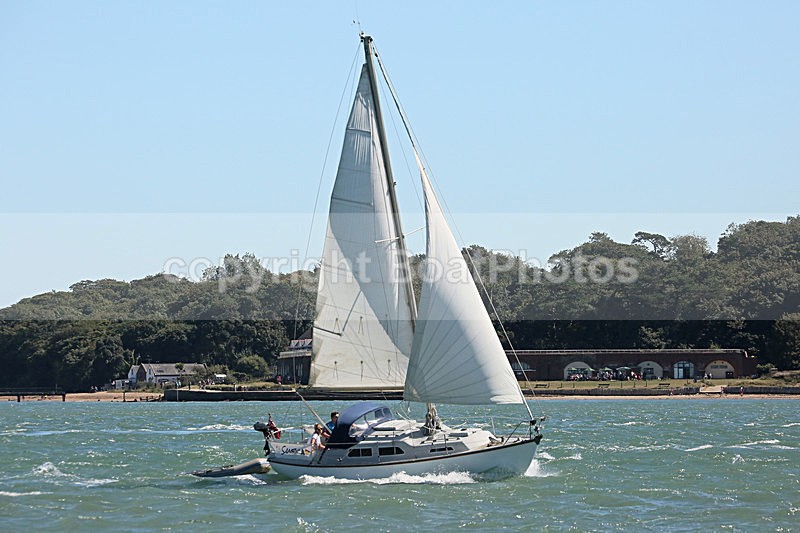 160823 SAMBUCA Y92A4851 - Sailboats - monohull