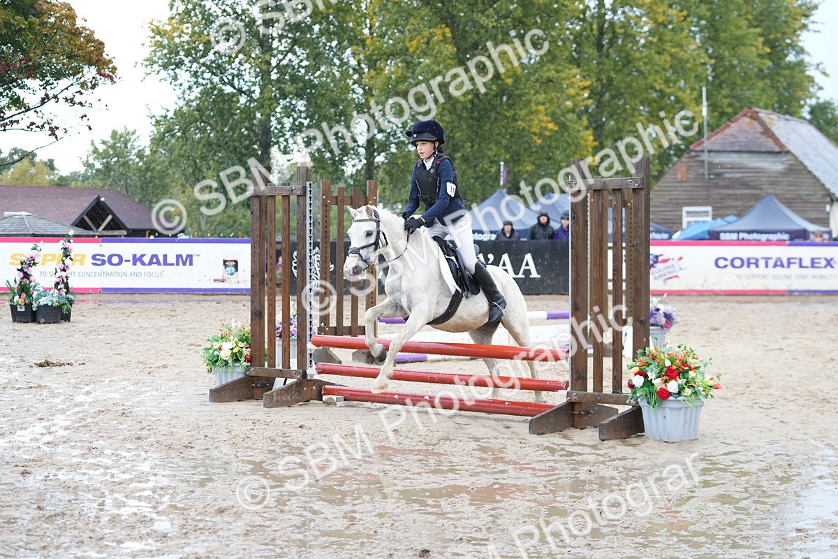 SBM_36363 - J5 - Junior Pony 50cm Championship