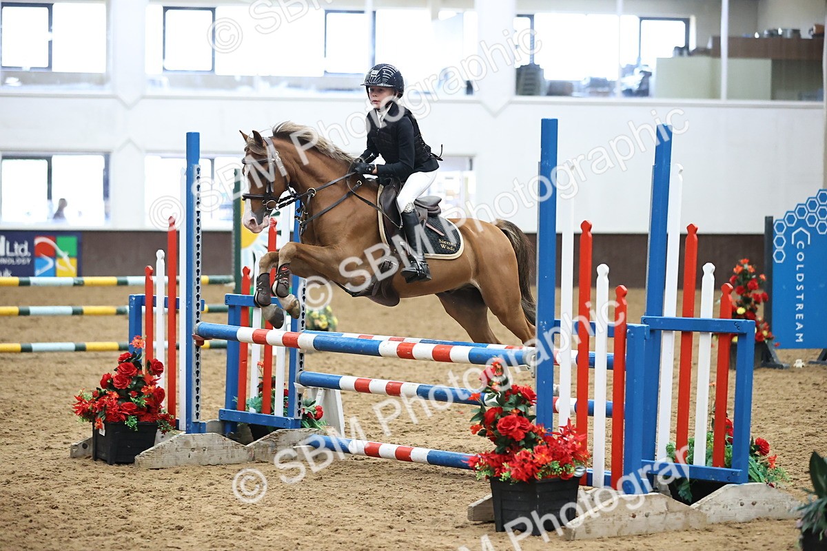 SBM_000704 - Class 2 - STX UK Pony British Novice 80cm Open