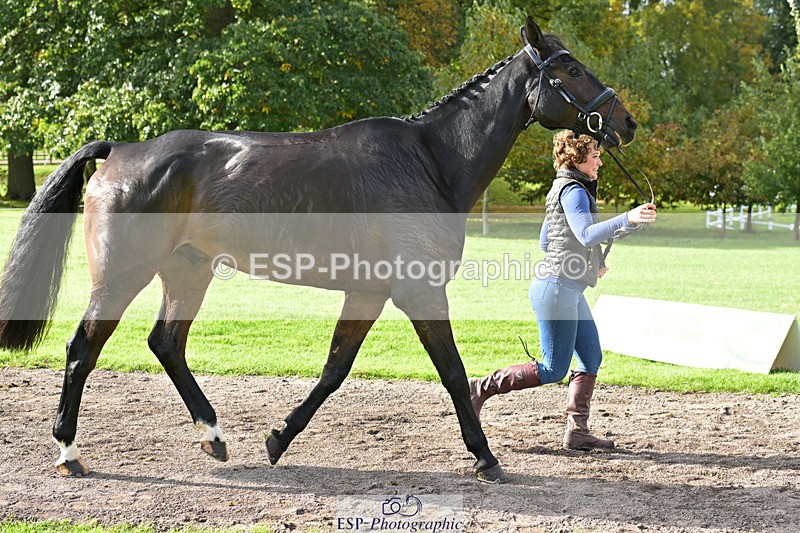 241023-132849-00317 - 051-Tommy.Greengard-BALLADEER.KILBRICKENS.LAD