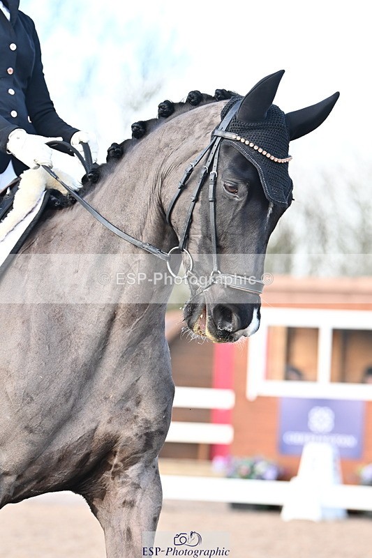 240218A-145546-08276 - 265-Jess.Ralton-Dallaglio.II