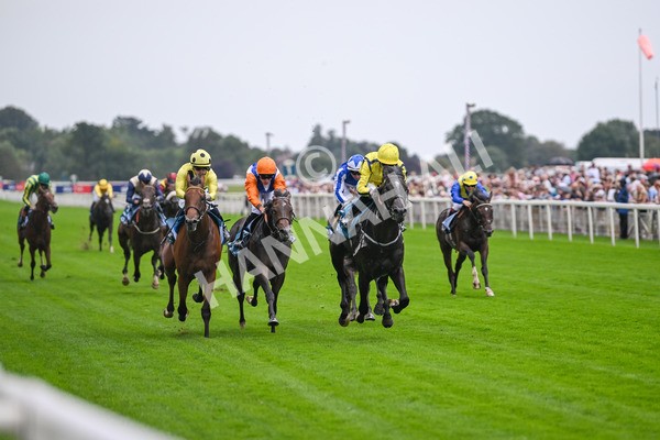 080925-Race 1-Proud Nation-7150 - Race 1 2.30pm Enter ITV7 For Free Confined EBF Maiden Stakes