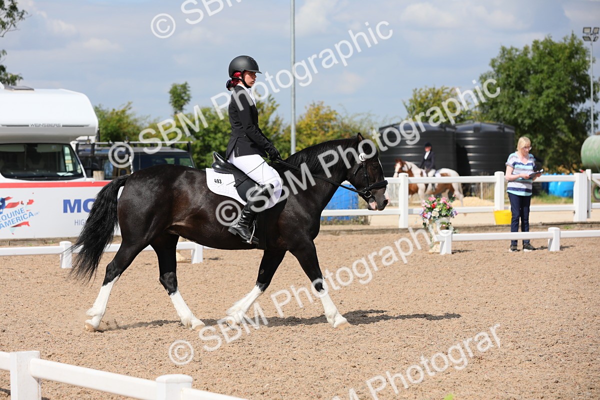 SBM_04171 - Class 31 Prelim 1