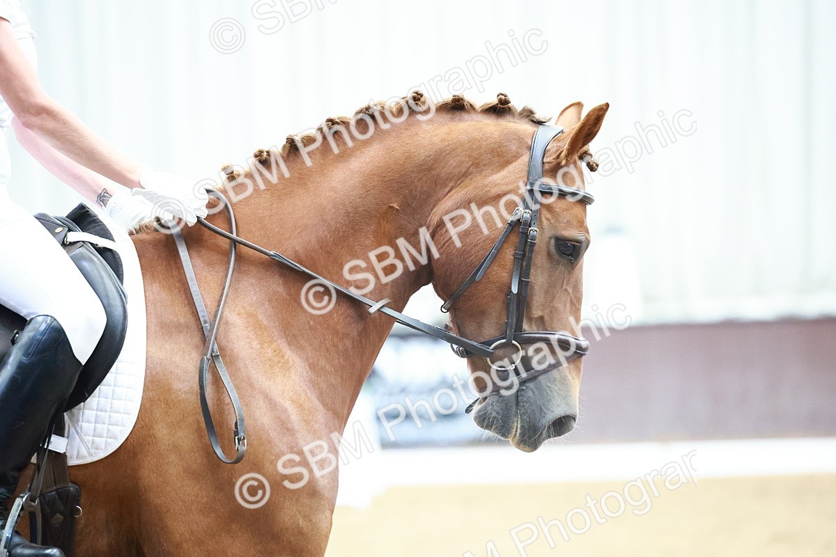 0B8A8918 - Class 3 - Prelim 1