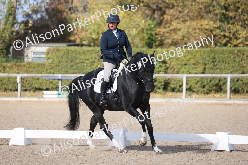 20261010-0606 - Class 5 - Novice 1