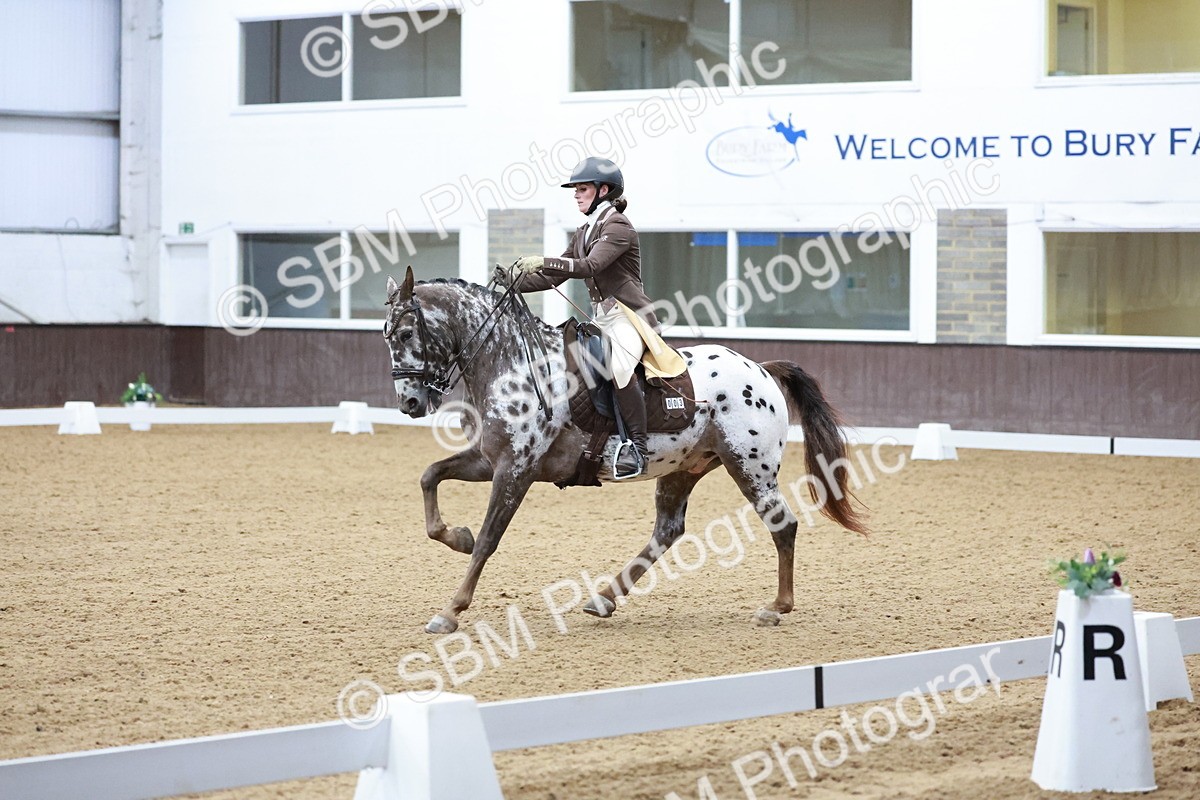 SBM_021374 - Class 14 - FEI Grand Prix - 17.40-18.34