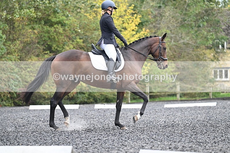 WJ7_3793 - Time 11:04 to 11:38