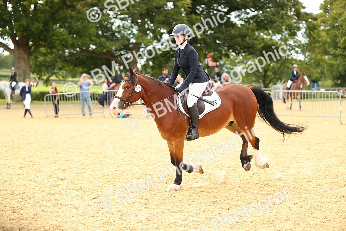 SBM_71356 - J18 - Junior Pony 85cm Championship