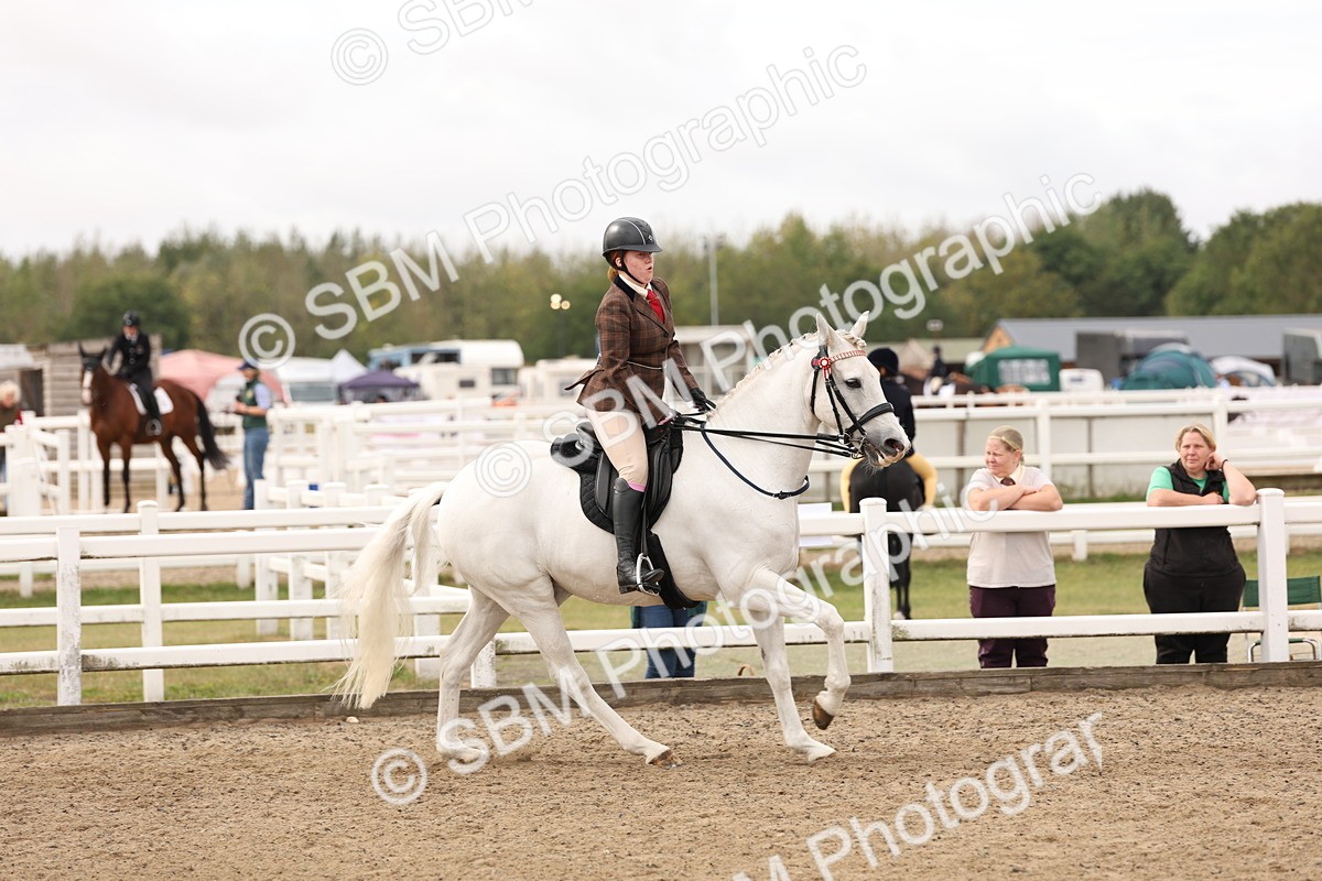 SBM_02818 - Class 53 - Ridden Competition Horse/Pony