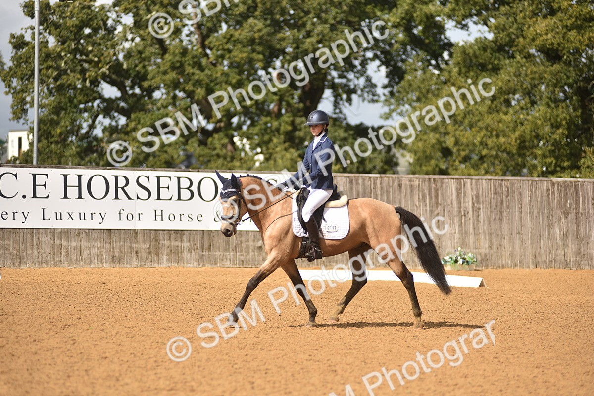 SBM_42306 - D22 - Junior Championship Intro 3