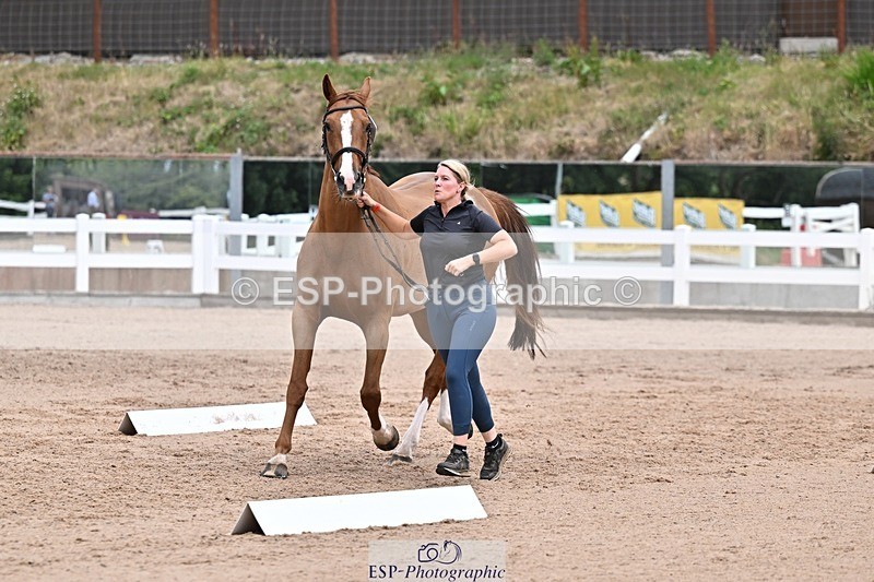 250716-133405-00573 - Trot Up 1.30 to 2.30