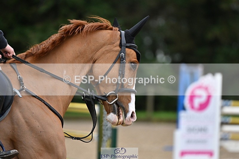 250201A-145310-01039 - Cls 04 Local Horse 120cm