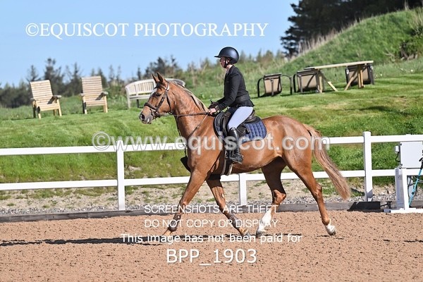 BPP_1903 - CLASS 2 - FRI - KBIS Club Senior 80cms