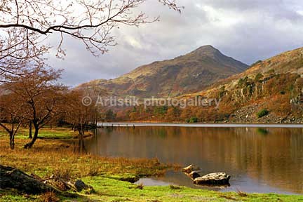 Llyn Gwynant in spring 85-2-9 - Sceniks.com - Snowdonia landscape photographs by Dave O'Shea