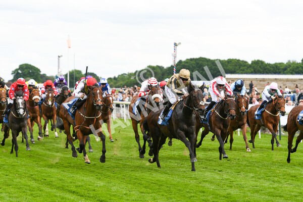 yr22052022r5-23 - Race 5: 5:35pm Sky Bet Sunday Series Sprint