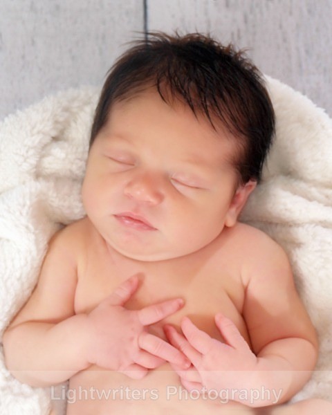 Buckle 50 - Baby Harper
