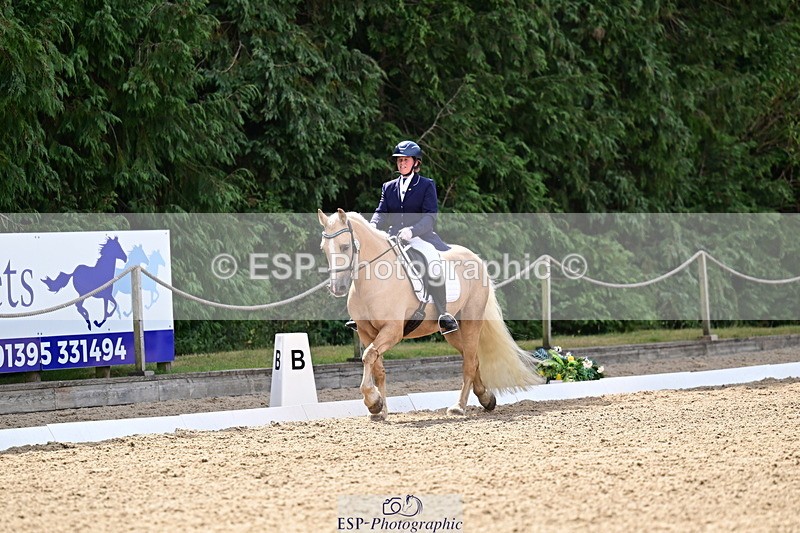 260802A-111426-05751 - Novice Silver break - break