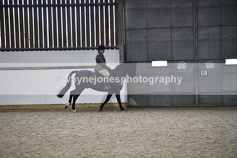WJ5_7828 - Class 13 Ridden Part Breed