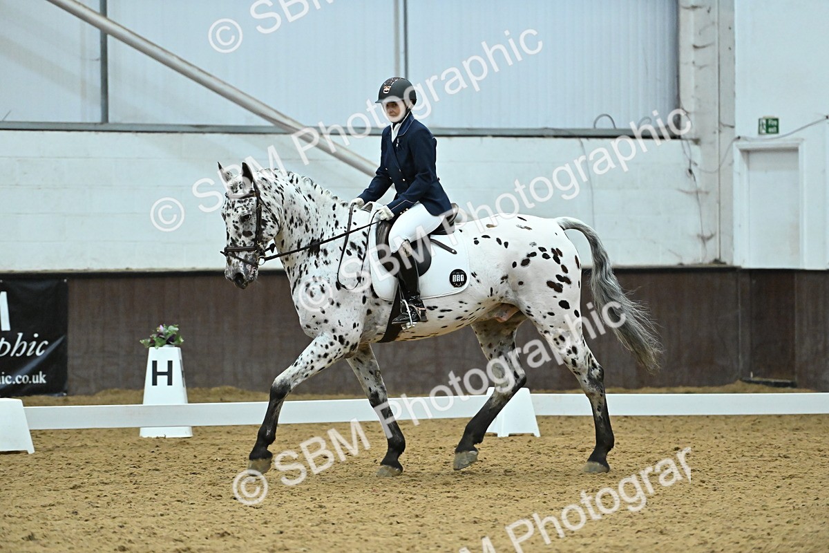 SBM_007497 - Class 81 - Novice 3