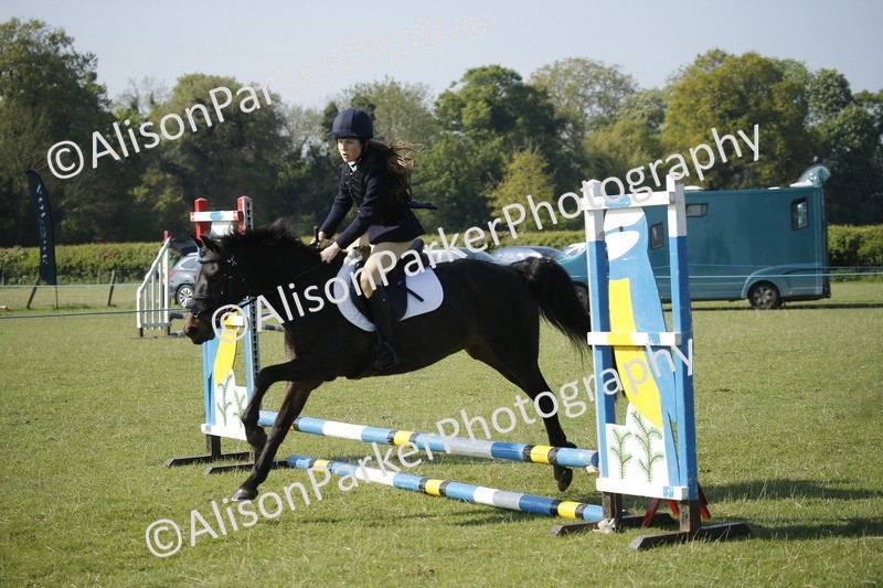 20250427-0341 - Class 12 - Rookie Jumping 40cm