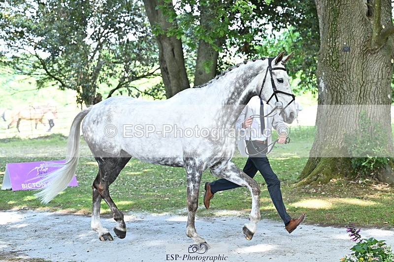 250521A-153335-00588 - B-311-Barnie.Brotherton-WHIXLEY.QUALITAS