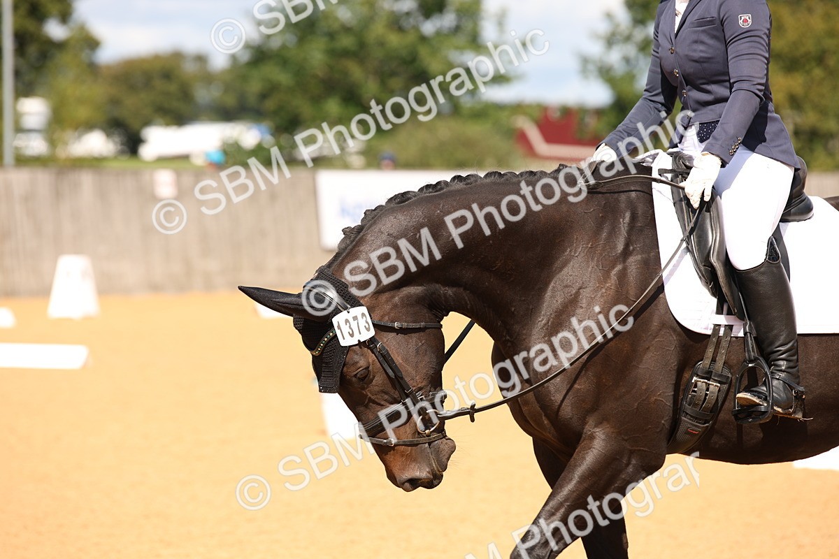 SBM_06676 - D8 Small Tour Championship Prelim 7