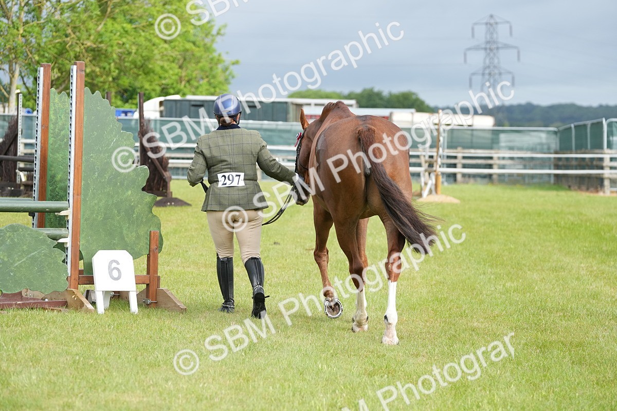SBM_10631 - Class 97-98 - LIHS BSHA Rising Star Working Show Horse Hunter