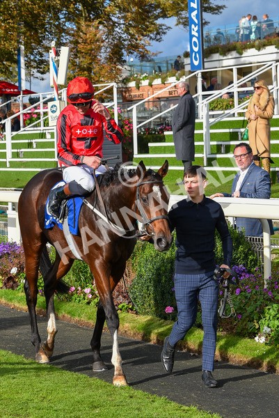 141023-Race 4-Colorada Dancer-1248 - Race 4 3.05pm Coral Racing Club EBF Maiden Stakes