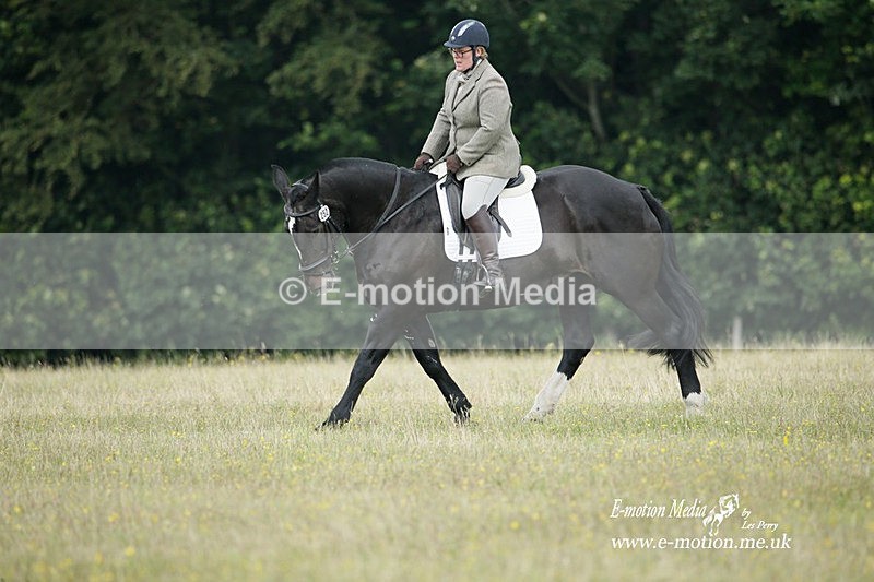 BVRC 030721 41 - Bourne Valley Riding Club Dressage 03/07/21