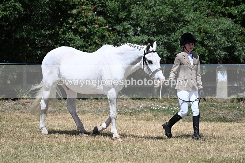 WJ7_2162 - Class 5 Most Handsome Gelding (up to 14.2hh) in hand