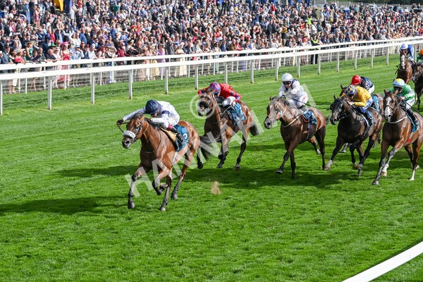 210825-Race 6-Stellar Sunrise-5199 - Race 6 4.45pm Mews Hotel Ossett EBF Stallions Nursery Handicap