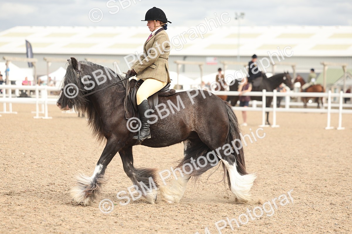 SBM_18011 - Class 314 - Family Horse Pony