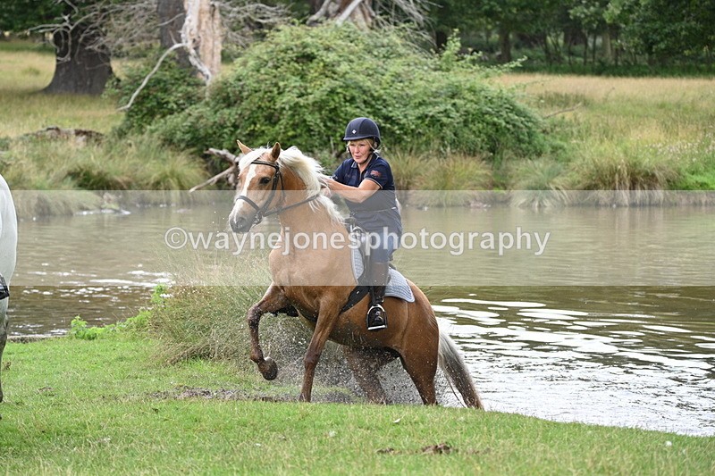WJ7_0675 - Time at Water 09:19 to 10:04