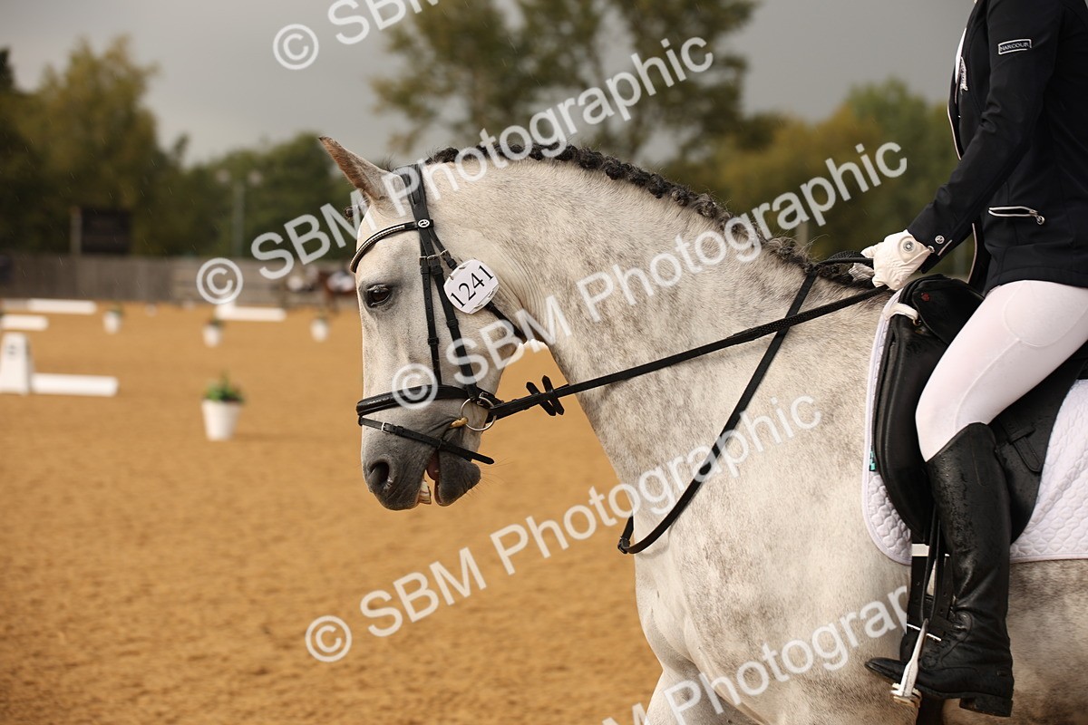 SBM_12352 - D3 Small  Tour Championship Intro A