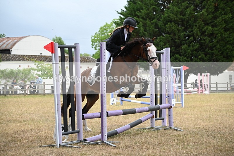 WJ6_0226 - Class 13 Novice Jumping 60cm