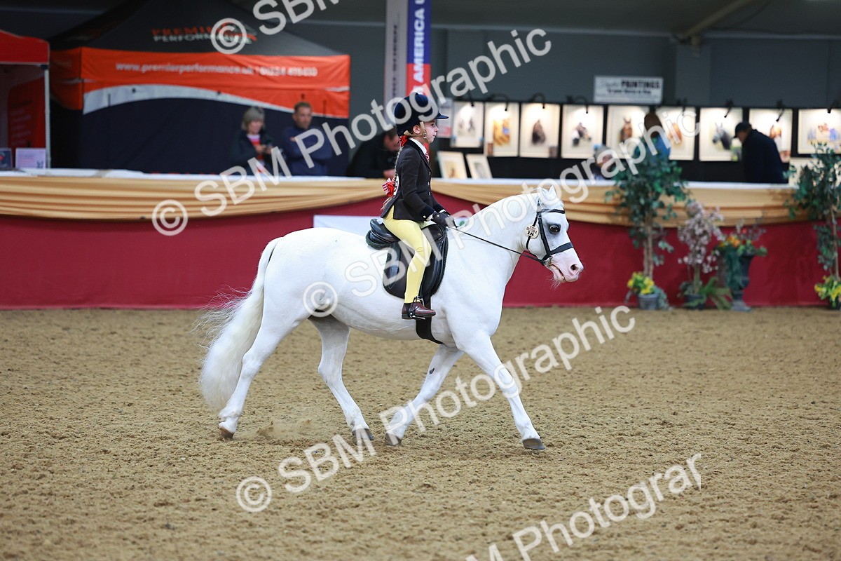 SBM_10695 - Class 103 - HOYS Veteran Qualifier - Ridden Pre Vet