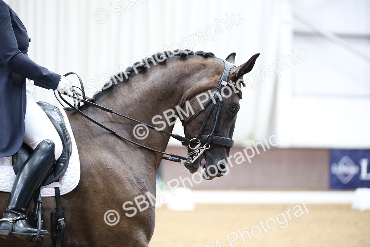 SBM_004712 - Class 9 - FEI Inter 1 Gold - 16.59-17.47
