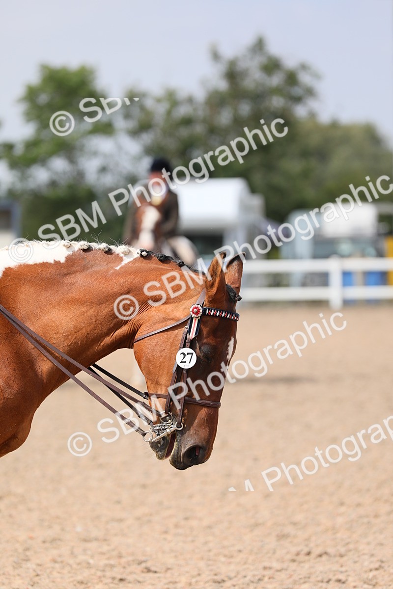 SBM_13414 - Class 308 Ridden Coloured Horse
