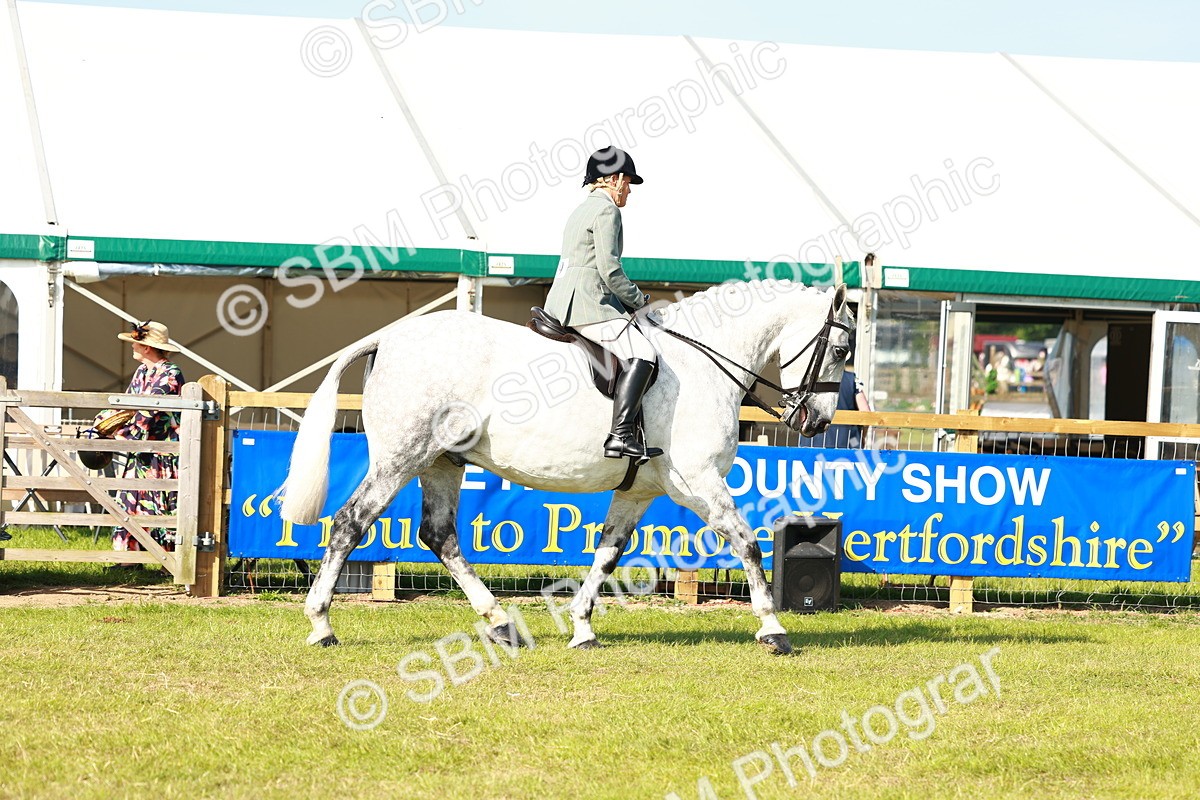 SBM_11753 - Class 66-69 - RIHS Ridden Hunters Inc Small Hunter