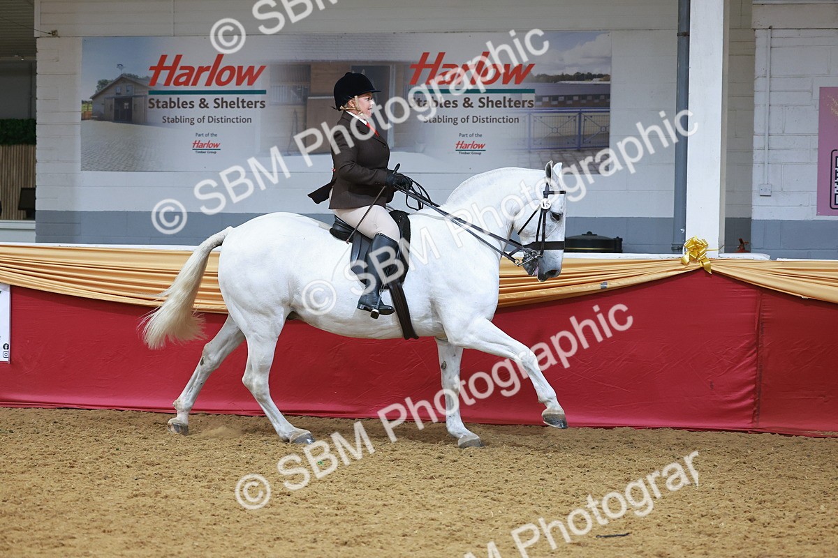 SBM_06026 - Class 12R - Ridden Pre-Vet