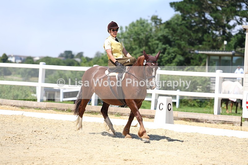 3E7A1727 - Class 5: Unaffiliated Prelim Freestyle to Music