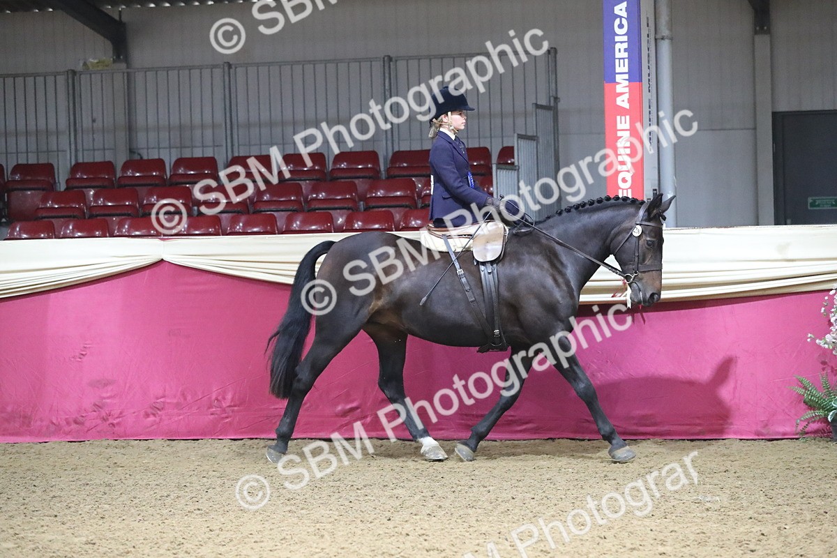 SBM_09374 - Class 101 Equitation (best rider), Junior