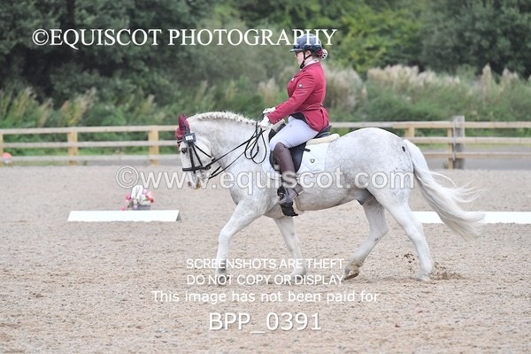 BPP_0391 - ELEM 6 & 4