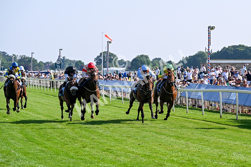 100726-Race 6-Ziggys Triton-0670 - Race 6 17.05pm William Hill Keep Your Raceday Positive Handicap
